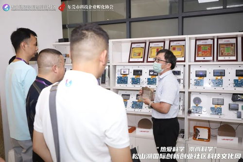 对话资本，智启未来 信息技术咨询服务如何点亮科技创业星空